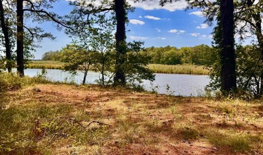 Photo #5 of Lot 2A MILES RD, NEW CHURCH, VA 111.0 acres