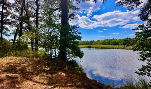 Photo #6 of Lot 2A MILES RD, NEW CHURCH, VA 111.0 acres
