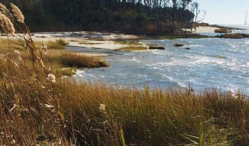 Photo #10 of Lot 24 PEACEFUL LAKES DR, EXMORE, VA 1.6 acres