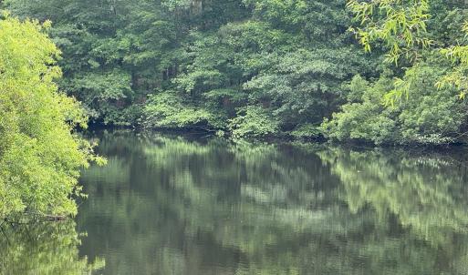 Photo #3 of Lot 24 PEACEFUL LAKES DR, EXMORE, VA 1.6 acres