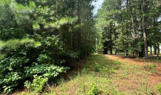 Photo #2 of HADEN CIR, PAINTER, VA 2.8 acres