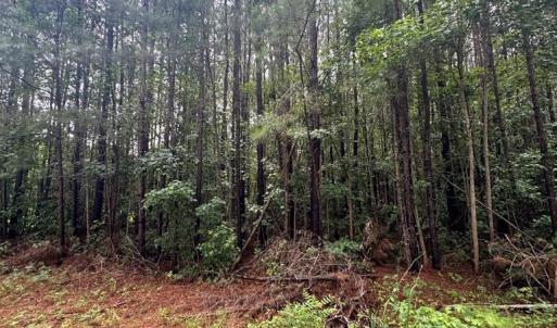 Photo #4 of HADEN CIR, PAINTER, VA 2.8 acres