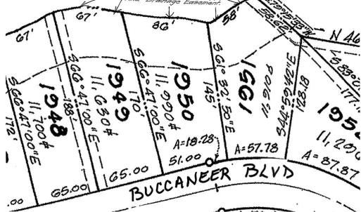 Photo #3 of 1950 BUCCANEER BLVD, GREENBACKVILLE, VA 69.0 acres