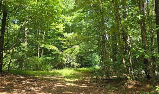 Photo #2 of A-B AIRPORT DR, MELFA, VA 13.0 acres