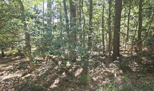 Photo #2 of Lot B4 SALTWORKS RD, JAMESVILLE, VA 3.5 acres