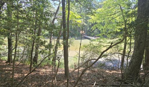 Photo #5 of Lot B4 SALTWORKS RD, JAMESVILLE, VA 3.5 acres