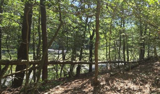 Photo #7 of Lot B4 SALTWORKS RD, JAMESVILLE, VA 3.5 acres