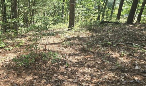 Photo #8 of Lot B4 SALTWORKS RD, JAMESVILLE, VA 3.5 acres