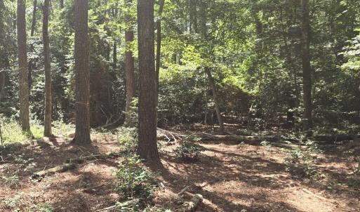 Photo #9 of Lot B4 SALTWORKS RD, JAMESVILLE, VA 3.5 acres