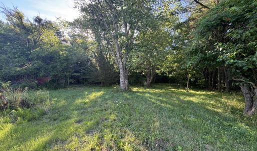 Photo #4 of 15001 WINTERVILLE RD, BLOXOM, VA 9.0 acres
