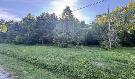 Photo #5 of 15001 WINTERVILLE RD, BLOXOM, VA 9.0 acres