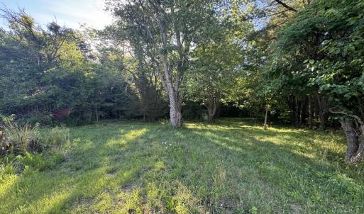 Photo #4 of 15001 WINTERVILLE RD, BLOXOM, VA 9.0 acres