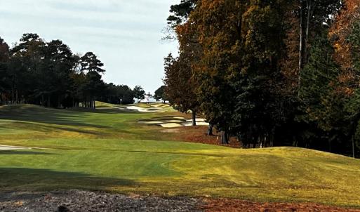 Photo #29 of Lot 89 BLUE HEAVEN RD, CAPE CHARLES, VA 0.2 acres