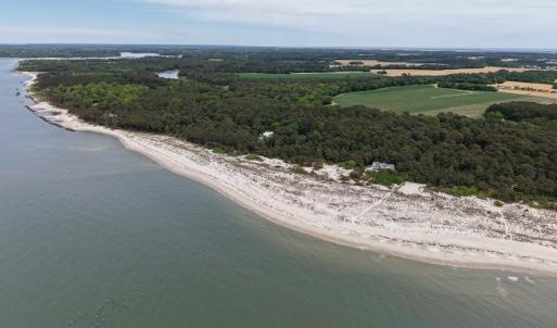 Looking Northward from dune trail