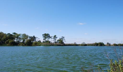 Photo #8 of Lot 42 ARLINGTON CHASE RD, CAPE CHARLES, VA 1.6 acres