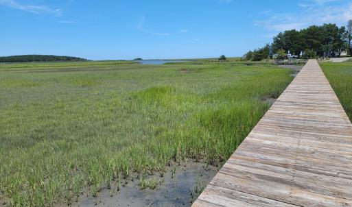 Photo #10 of Lot 26 SEAVIEW ST, ACCOMAC, VA 4.1 acres