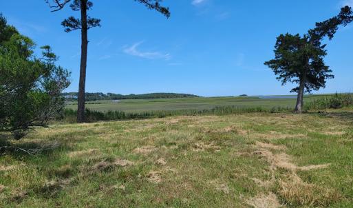 Photo #11 of Lot 26 SEAVIEW ST, ACCOMAC, VA 4.1 acres