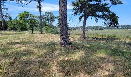 Photo #5 of Lot 26 SEAVIEW ST, ACCOMAC, VA 4.1 acres