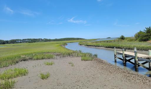 Photo #9 of Lot 26 SEAVIEW ST, ACCOMAC, VA 4.1 acres