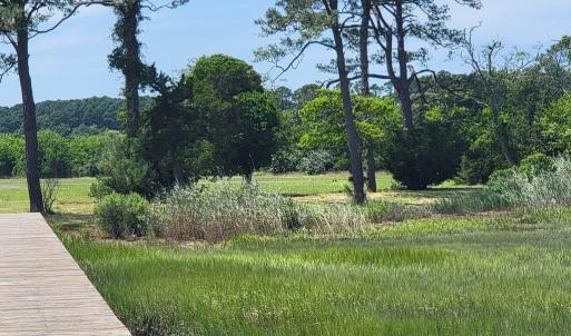 Photo #10 of Lot 26 SEAVIEW ST, ACCOMAC, VA 4.1 acres