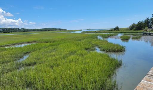 Photo #6 of Lot 26 SEAVIEW ST, ACCOMAC, VA 4.1 acres