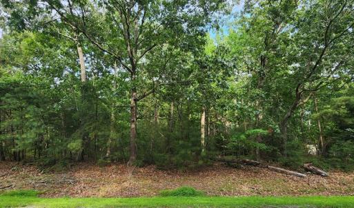 Photo #2 of 105 JOLLY RODGER DRIVE, GREENBACKVILLE, VA 13,333.0 acres