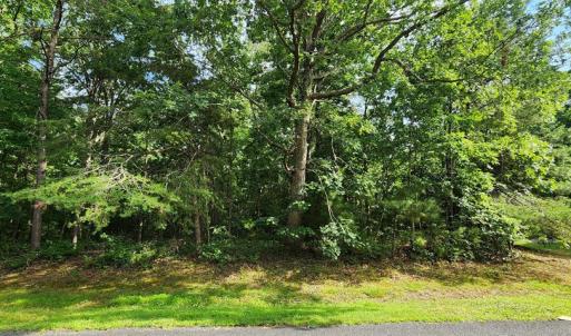 Photo #3 of 105 JOLLY RODGER DRIVE, GREENBACKVILLE, VA 13,333.0 acres