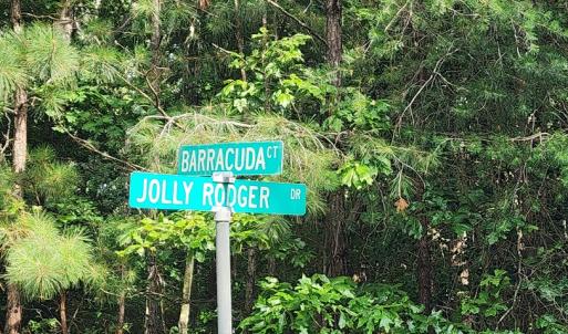 Photo #4 of 105 JOLLY RODGER DRIVE, GREENBACKVILLE, VA 13,333.0 acres