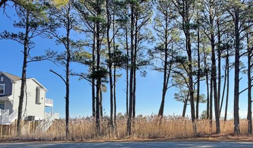 Photo #3 of Lot 720 CASTAWAY DR, GREENBACKVILLE, VA 8.0 acres