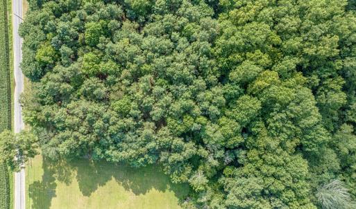 Photo #14 of 1-6 HURST STORE ROAD, GREENBUSH, VA 9.9 acres
