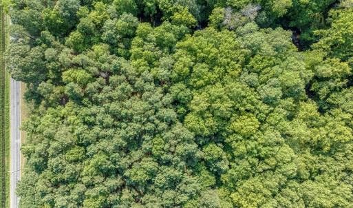 Photo #15 of 1-6 HURST STORE ROAD, GREENBUSH, VA 9.9 acres