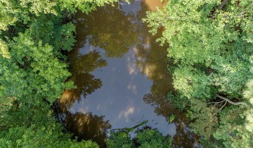 Photo #16 of 1-6 HURST STORE ROAD, GREENBUSH, VA 9.9 acres