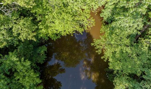 Photo #17 of 1-6 HURST STORE ROAD, GREENBUSH, VA 9.9 acres