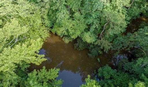 Photo #18 of 1-6 HURST STORE ROAD, GREENBUSH, VA 9.9 acres