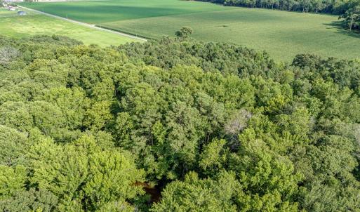 Photo #19 of 1-6 HURST STORE ROAD, GREENBUSH, VA 9.9 acres