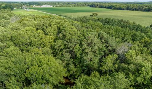 Photo #20 of 1-6 HURST STORE ROAD, GREENBUSH, VA 9.9 acres