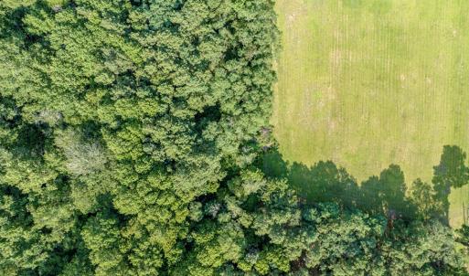 Photo #22 of 1-6 HURST STORE ROAD, GREENBUSH, VA 9.9 acres