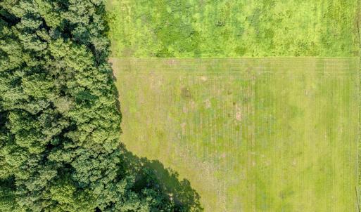 Photo #25 of 1-6 HURST STORE ROAD, GREENBUSH, VA 9.9 acres