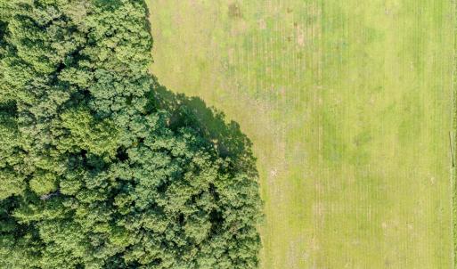 Photo #26 of 1-6 HURST STORE ROAD, GREENBUSH, VA 9.9 acres