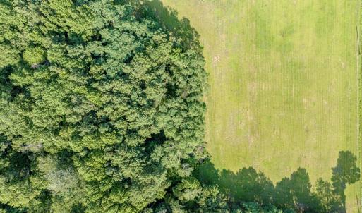 Photo #27 of 1-6 HURST STORE ROAD, GREENBUSH, VA 9.9 acres