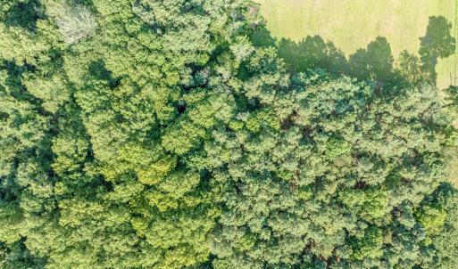 Photo #28 of 1-6 HURST STORE ROAD, GREENBUSH, VA 9.9 acres