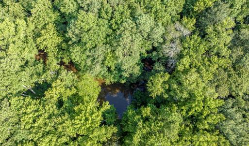 Photo #31 of 1-6 HURST STORE ROAD, GREENBUSH, VA 9.9 acres