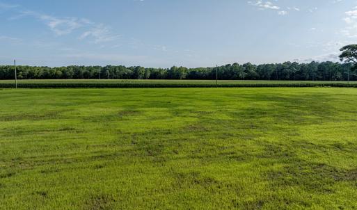Photo #6 of 1-6 HURST STORE ROAD, GREENBUSH, VA 9.9 acres
