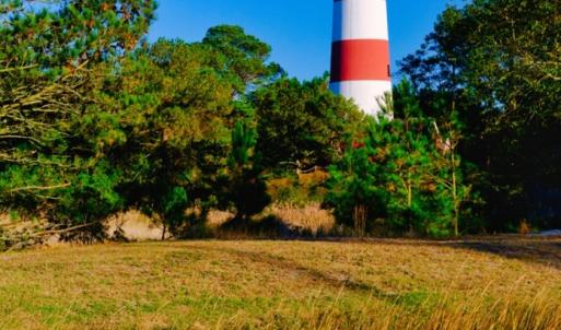 Photo #5 of Lot 103 COVENTON LANE, HORNTOWN, VA 273.0 acres