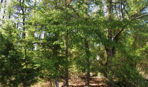Photo #5 of Lot 1142 AFT CT, GREENBACKVILLE, VA 0.2 acres