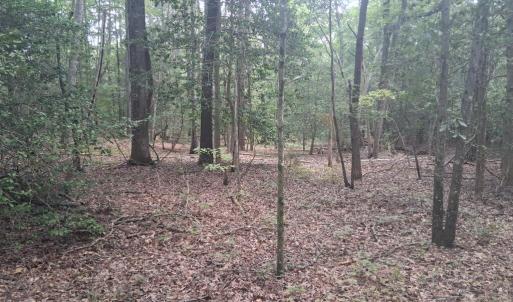 Photo #4 of Lot 3 EAGLE POINT COURT, BELLE HAVEN, VA 3.0 acres