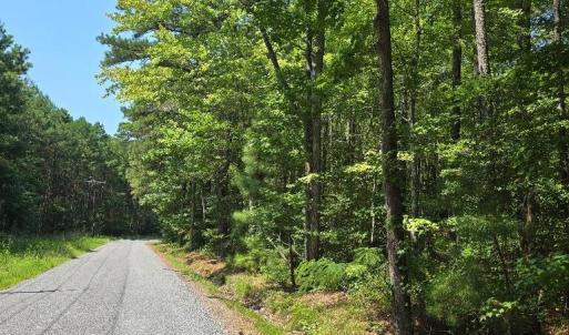 Photo #6 of PLANTATION RD, ONANCOCK, VA 33.6 acres