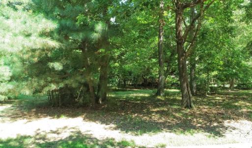 Photo #8 of 11 CARISSA CT, CAPE CHARLES, VA 0.2 acres