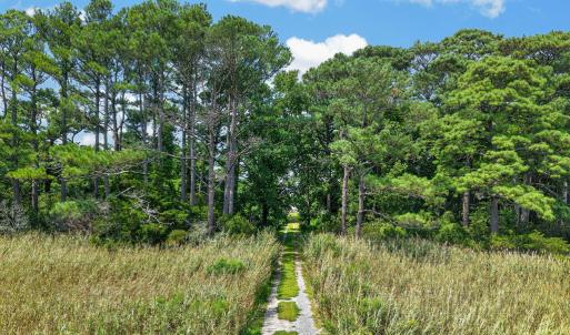 Photo #11 of LOT G WALTER ST, QUINBY, VA 3.8 acres