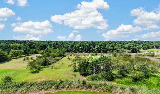 Photo #6 of LOT G WALTER ST, QUINBY, VA 3.8 acres